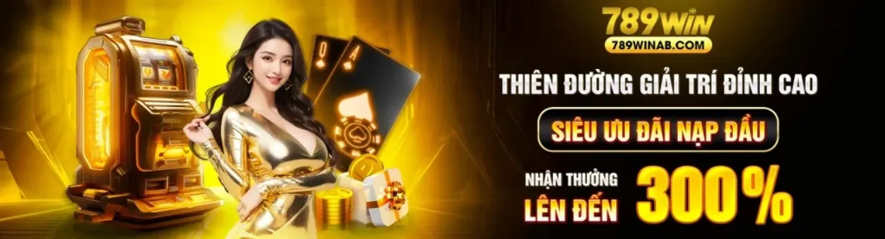 Hình ảnh hỗ trợ khách hàng sowin